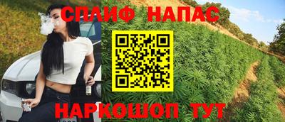 соль ск Будённовск