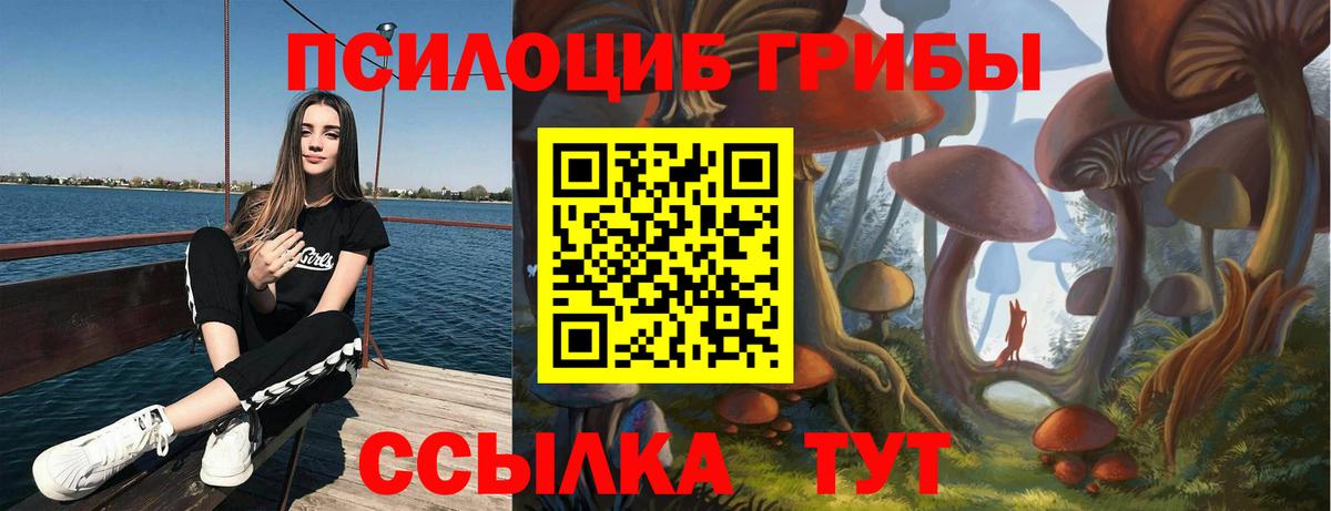 Псилоцибиновые грибы Cubensis Моздок