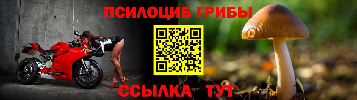 Галлюциногенные грибы Psilocybine cubensis  Галлюциногенные грибы MAGIC MUSHROOMS  Вход с VPN  Моздок 